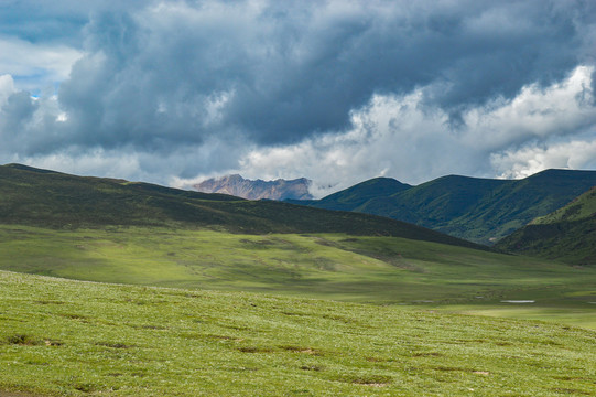草原平原西藏高原