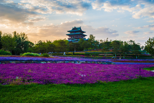 北京世园会园区风景