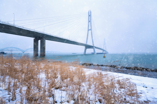雪后长江三桥