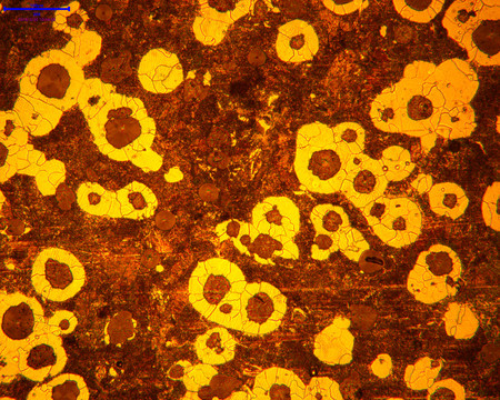 显微镜观察下的金相金属组织图
