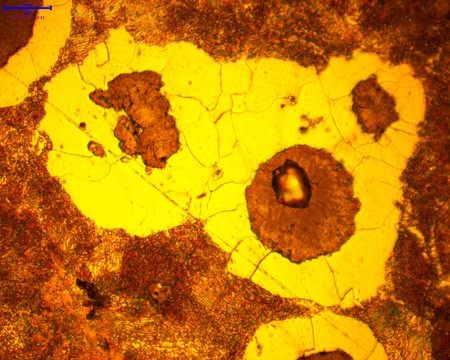 显微镜观察下的金相组织图片