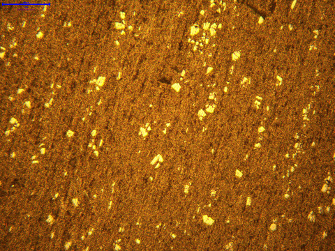 显微镜观察下的金相组织图片