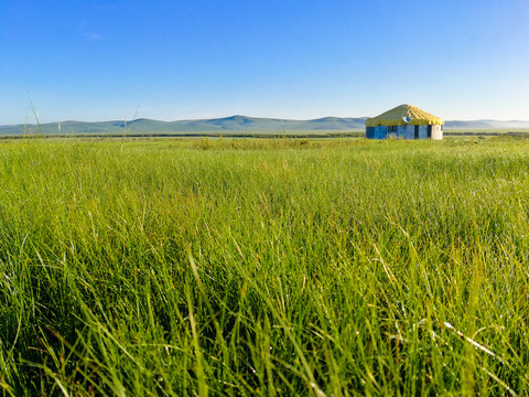 草原清晨蒙古包