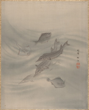 羽阳袖江海洋动物水墨画