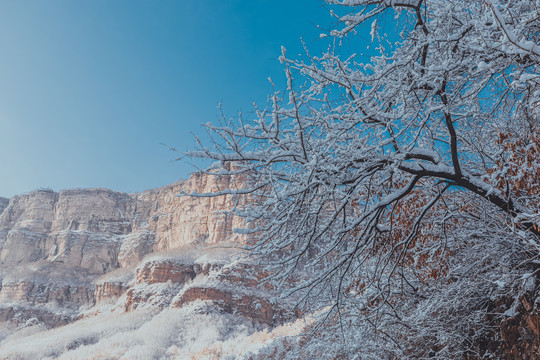 太行雪景