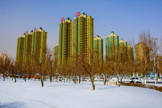 恒大绿洲高层住宅群与树木雪景