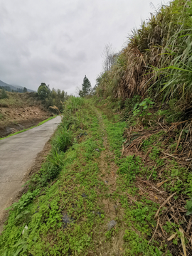 乡间小路