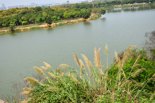 湖景