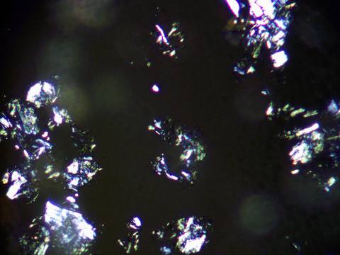 显微镜下不同倍数粉末晶体照片