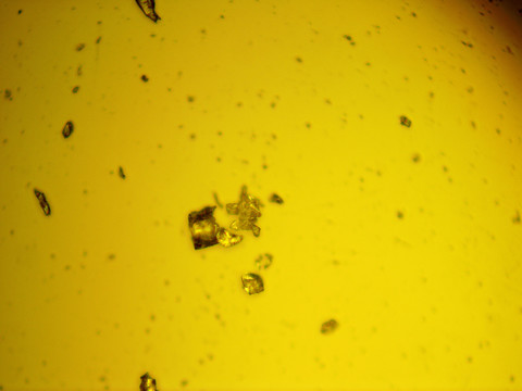 显微镜下不同倍数粉末晶体照片