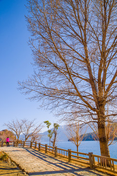 泸沽湖