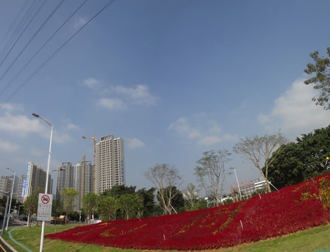 深圳建筑