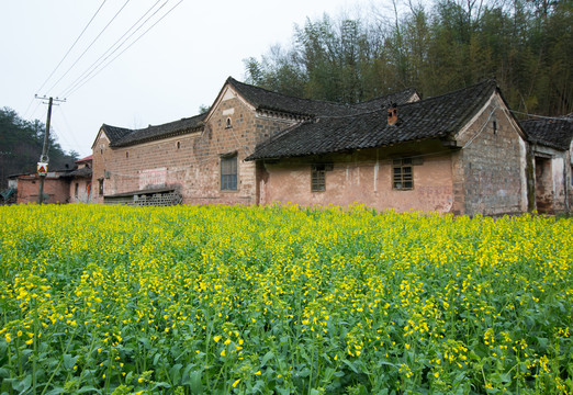 乡村风光