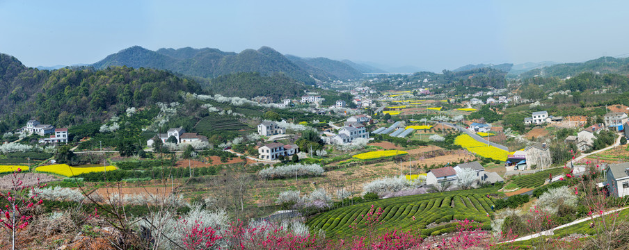 架锅山村桃花山高清全景图