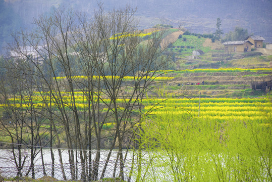 汇湾风光八