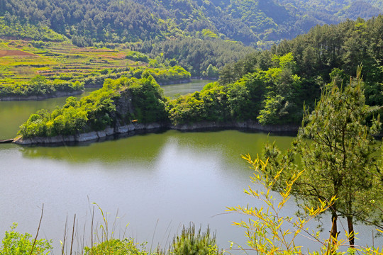 龙湖湿地公园六