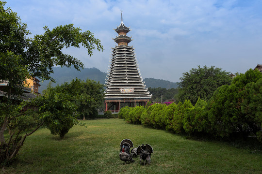 鼓楼与草地上的火鸡