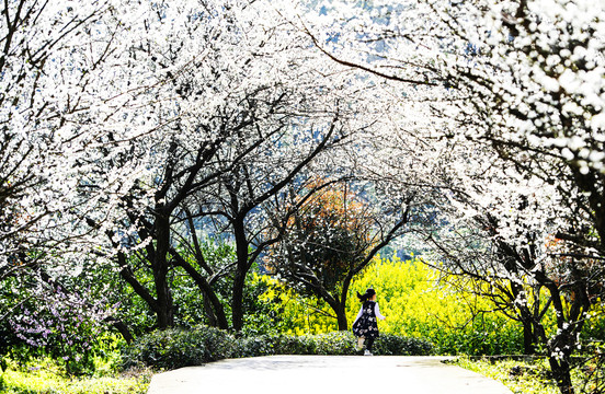 春暖花开