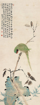 华嵒华岩鹦鹉图