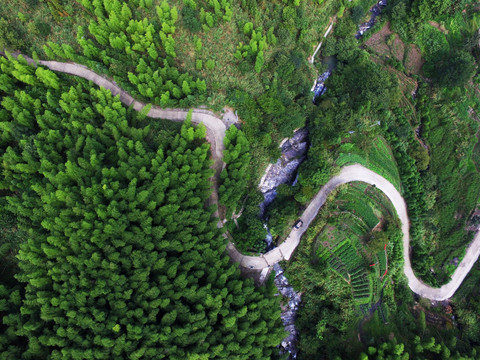 莲花山道路