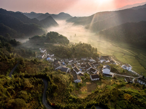仙寓镇奇峰村