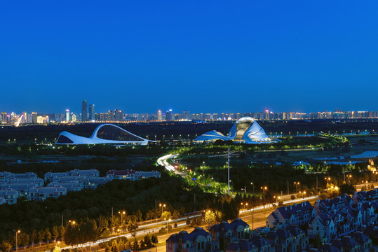 哈尔滨大剧院城市风光夜景