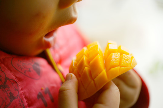 小孩正准备吃芒果