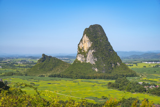 青山