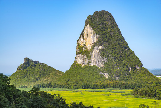 青山