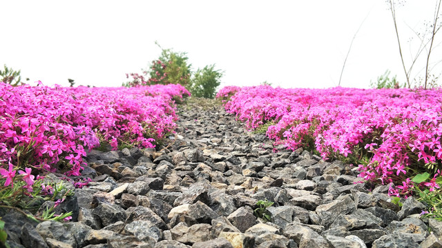 花园小径