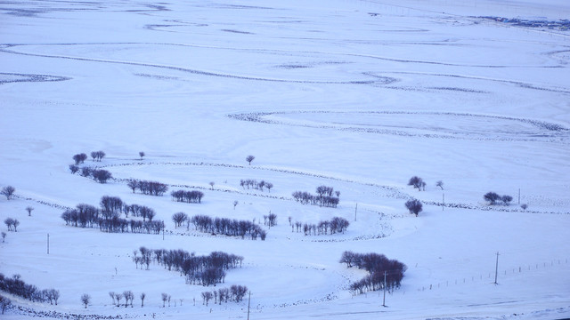 湿地风光