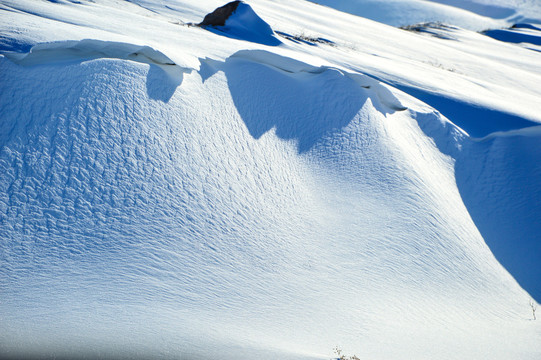 雪痕