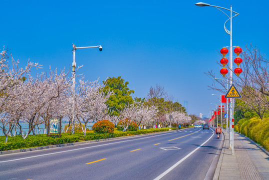 景观公路