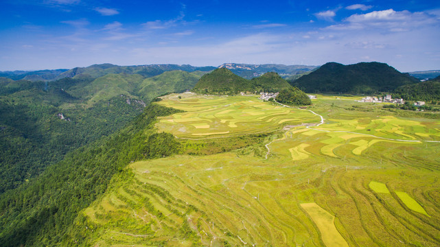 贵州高坡稻田梯田风景