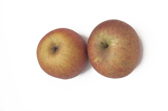 两个丑苹果