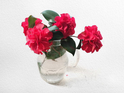 茶花