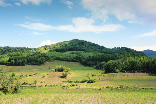 绿水青山