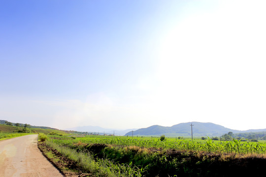 中国北方田野风光