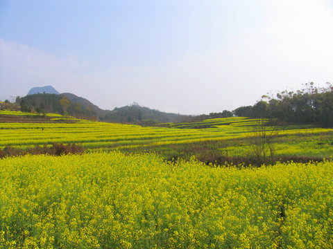 元阳金鸡峰丛