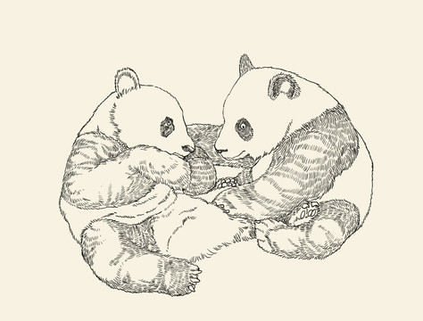 熊猫线描