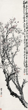 吴昌硕梅花