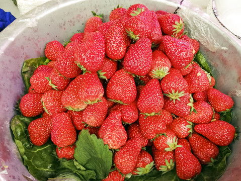 草莓1水果