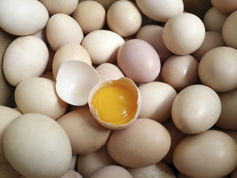 打蛋土鸡蛋