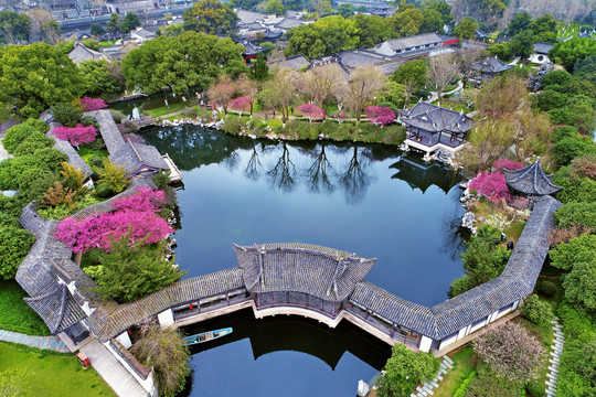 宁波月湖公园航拍梅花