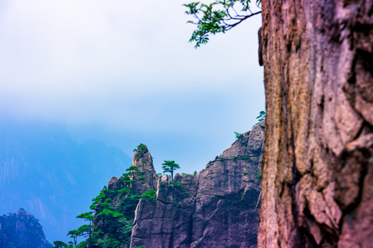 黄山风光