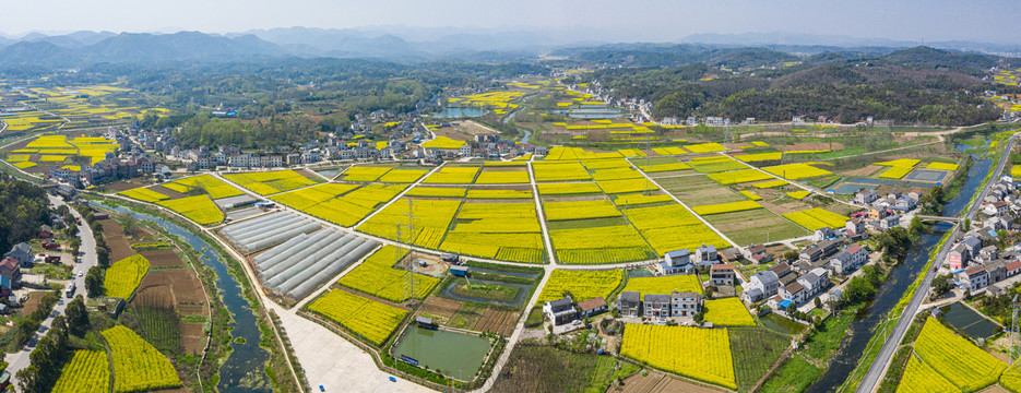 高清油菜花美丽乡村全景图