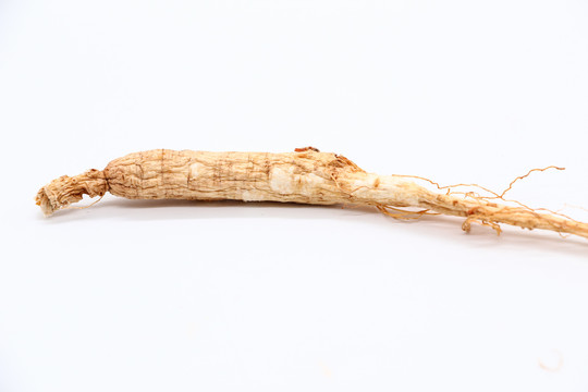 人参