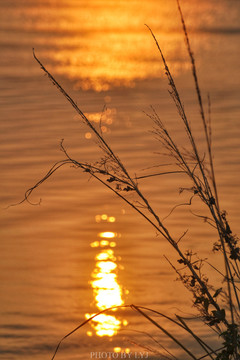 东江夕阳