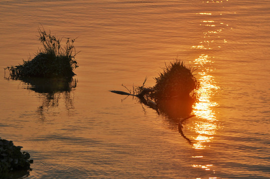 东江夕阳