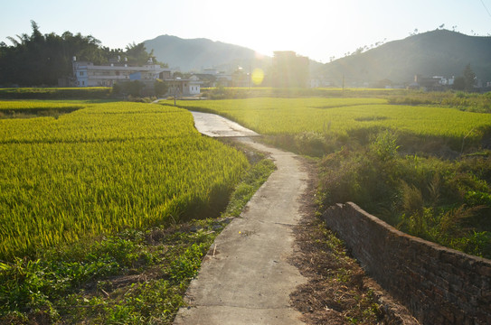 乡村道路